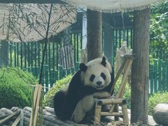 -大连森林动物园