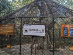 -南湾猴岛+椰田古寨一日游