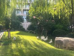 -长安先导国际创新人才交流中心