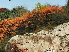 -秦岭终南山世界地质公园翠华山景区
