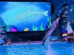 -海合安武汉极地海洋公园