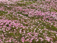 -汉长安城未央宫国家考古遗址公园