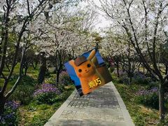 -香雪海