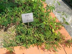 -广州神农草堂中医药博物馆