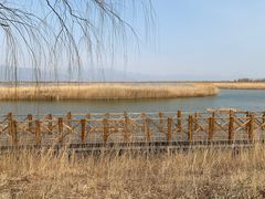 -野鸭湖国家湿地公园