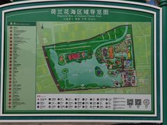 -荷兰花海