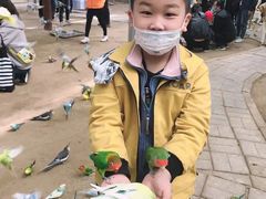 -呀路古热带植物园