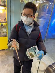 -神奇动物撸宠馆·羊驼·小浣熊·异宠(豫园店)