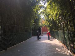 -红螺寺