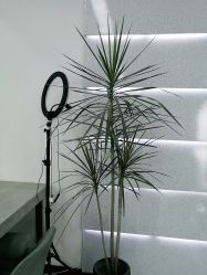 -未来美发·T1M HAIR SALON