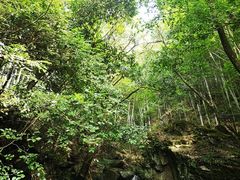 -藏龙百瀑风景区