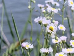 -如皋市龙游湖欢乐世界