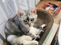 -小时光咖啡馆(北锣鼓巷店)