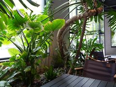 -J Create城市露营咖啡·简餐·宠物(上海动物园店)