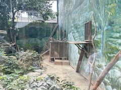 -成都动物园