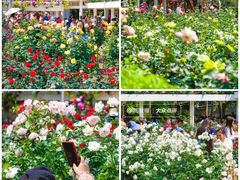 -人民公园(罗湖区)