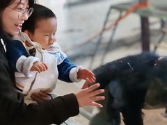 -太原动物园