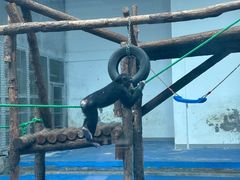 -合肥野生动物园