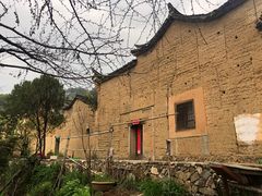 -杨家堂村