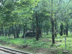 -秦皇岛野生动物园