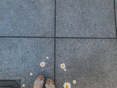 -上海置地广场(南京东路店)