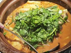 -九道菜有鸡鱼头(石鼓路店)