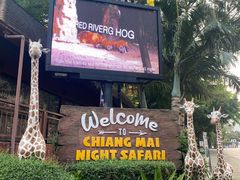 -清迈夜间动物园