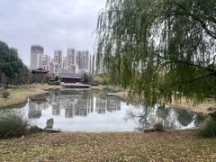 -堤角公园
