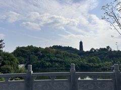-重庆园博园