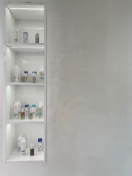 点击看大图 -金棕榈