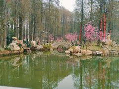 -东湖磨山景区