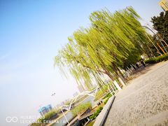 -沙澧河风景区