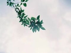 -龚海宝· 烧烤· 羊肉原切挂糊更好吃(庄市店)