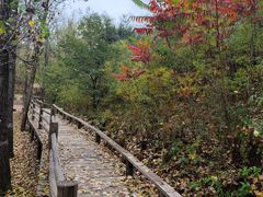 -蟠龙山长城景区