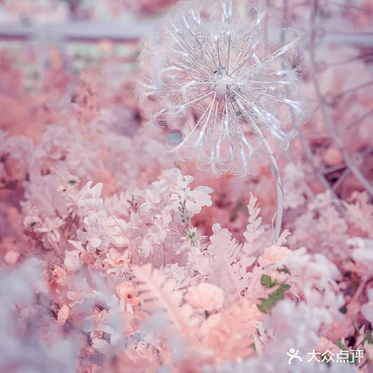 南瓜马车主题～