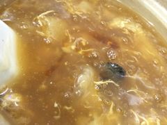 招牌花胶海参煲仔翅-添發碗仔翅美食