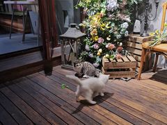 -IFIF 如果花園(宽厚里店)