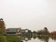 -白鹭湾湿地公园
