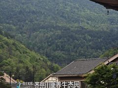 -齐岳山