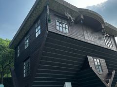 -金山农民画村-枫泾波兰倒置屋