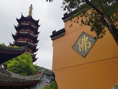 -鸡鸣赐茶(鸡鸣寺路店)