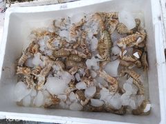 -青石桥市场北1-27号