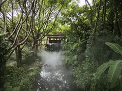 -厦门园林博览苑