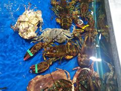 -盒马鲜生(红莲店)