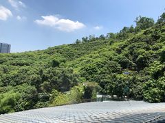 -鲤鱼塘农家山庄