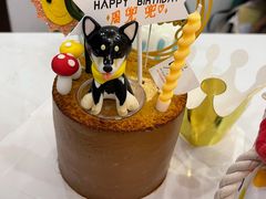 -汪说喵讲宠物乐园宠物酒店(红星美凯龙店)