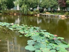 -南阳建业森林半岛假日酒店