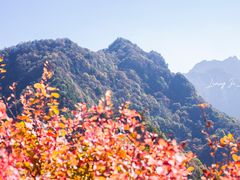 -秦岭风景区