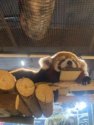 -Zoolung Zoolung动物主题公园(海信广场店)