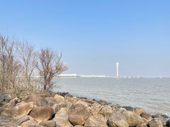 -上海吴淞炮台湾国家湿地公园
